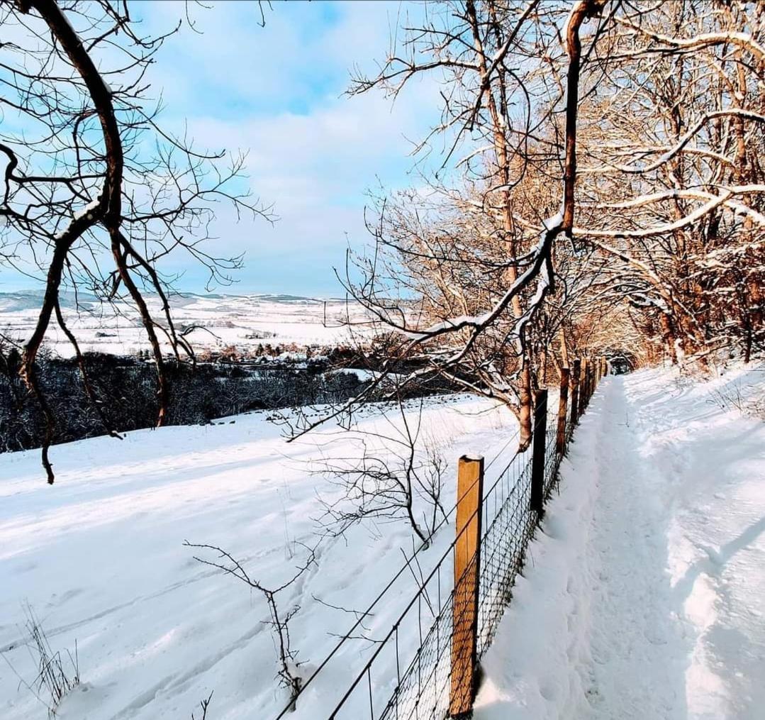 Pitcaithly Cottage Abernethy Экстерьер фото