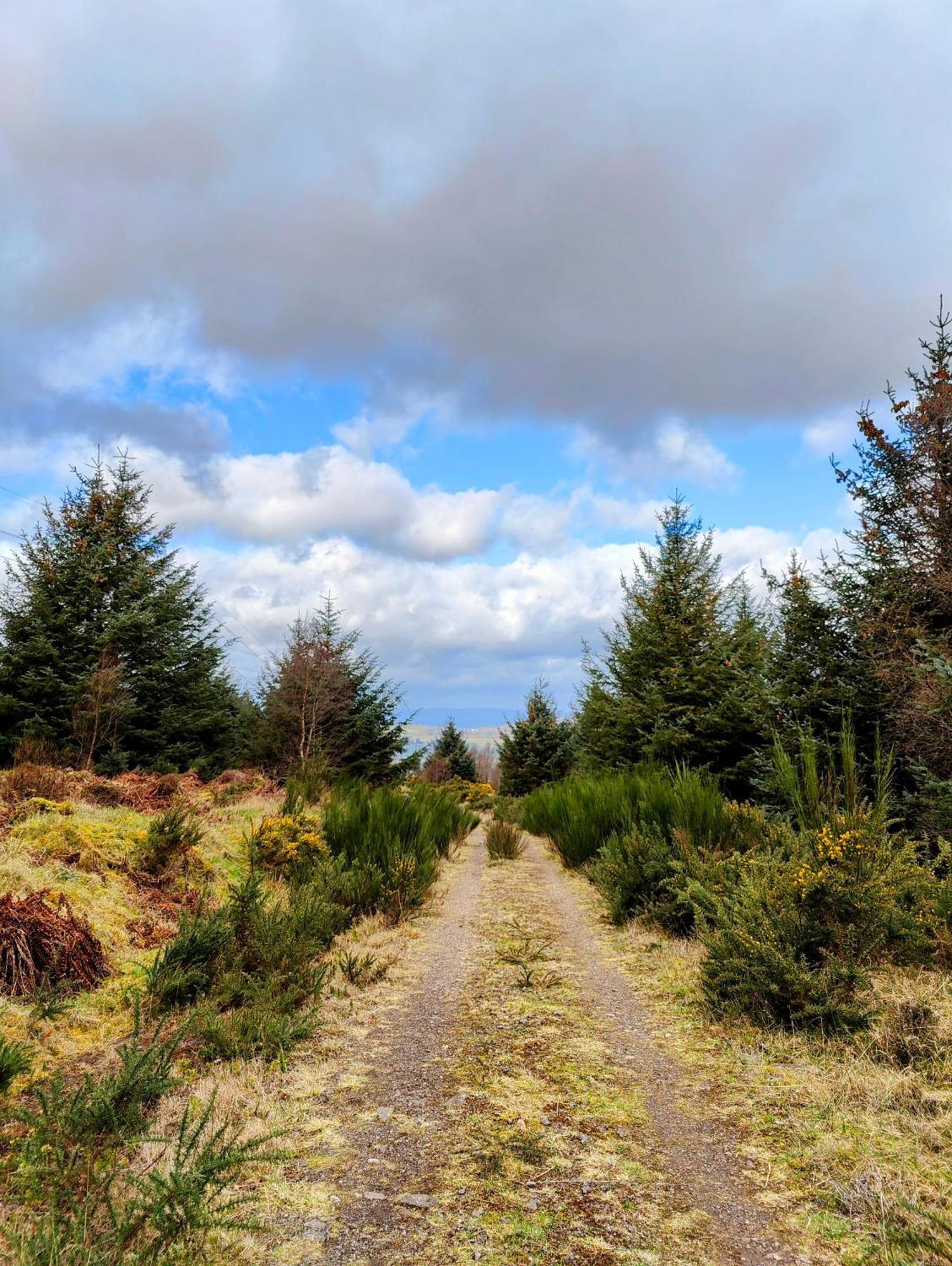 Pitcaithly Cottage Abernethy Экстерьер фото