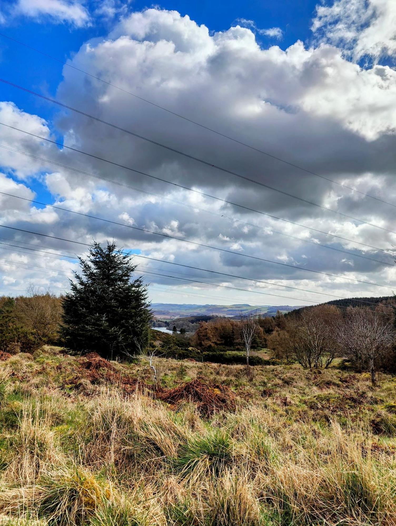 Pitcaithly Cottage Abernethy Экстерьер фото